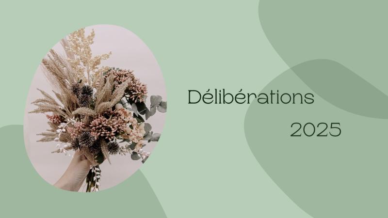 Délibérations 20251003