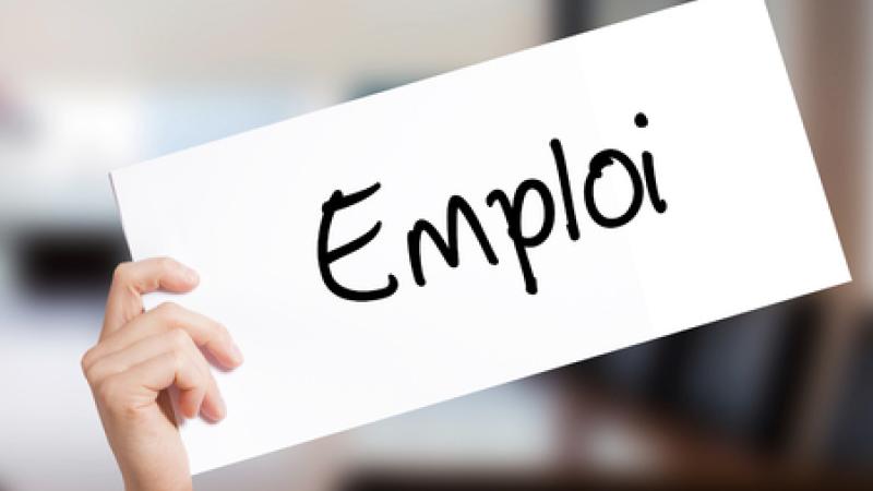 Emploi