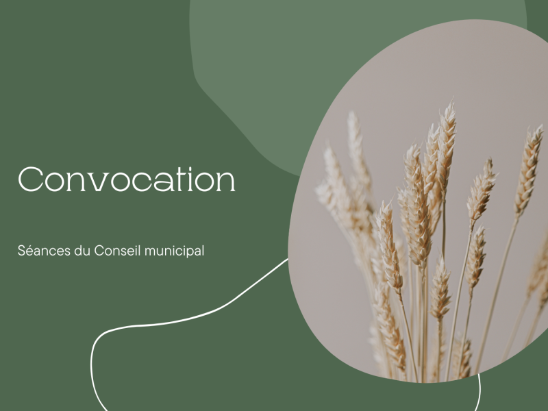 Convocation Conseil municipal