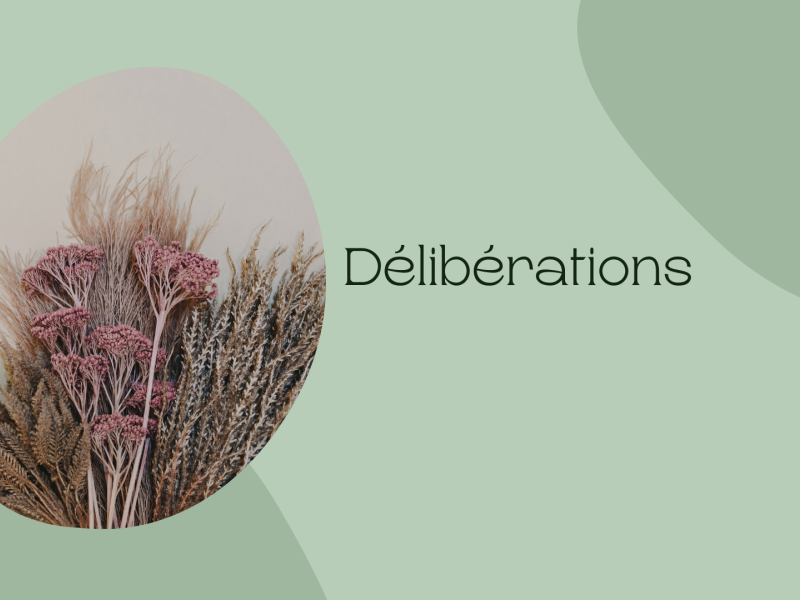 Délibérations du CM du 26 février 2025